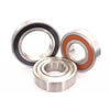 Carbon Steel Bearings